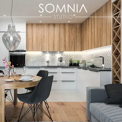 Somnia Studio Architektura Wnętrz